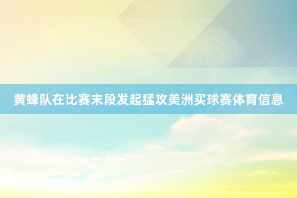 黄蜂队在比赛末段发起猛攻美洲买球赛体育信息