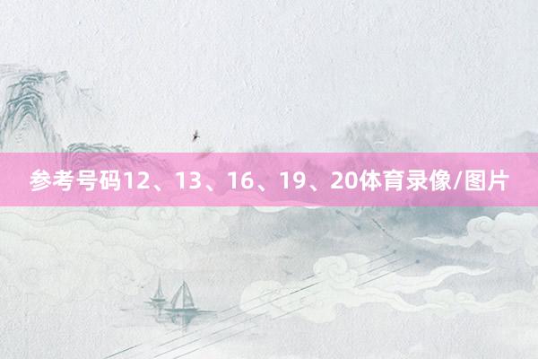参考号码12、13、16、19、20体育录像/图片