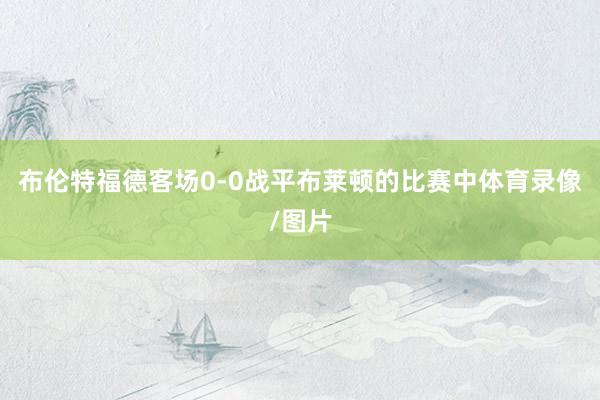 布伦特福德客场0-0战平布莱顿的比赛中体育录像/图片