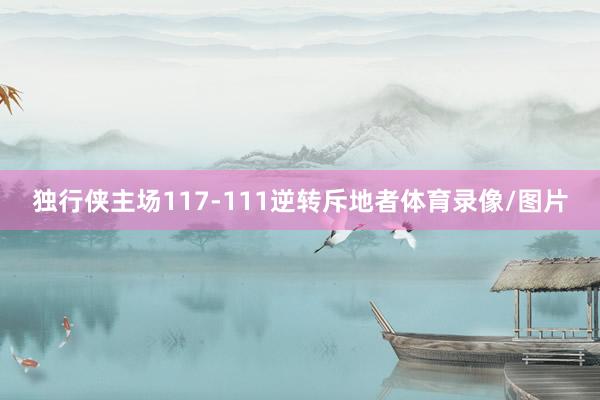 独行侠主场117-111逆转斥地者体育录像/图片