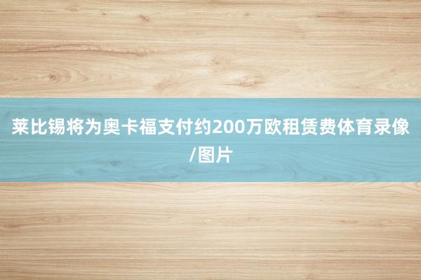莱比锡将为奥卡福支付约200万欧租赁费体育录像/图片