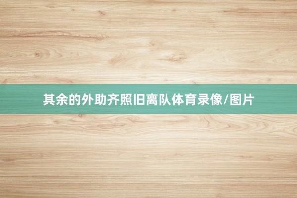其余的外助齐照旧离队体育录像/图片