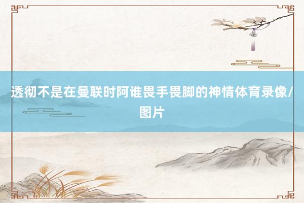 透彻不是在曼联时阿谁畏手畏脚的神情体育录像/图片