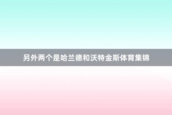 另外两个是哈兰德和沃特金斯体育集锦
