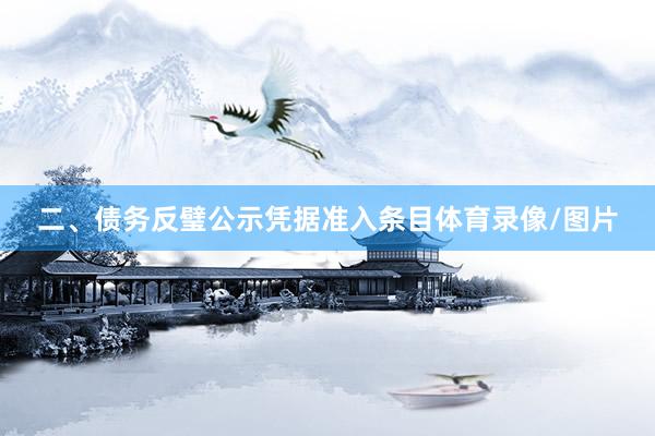 二、债务反璧公示凭据准入条目体育录像/图片
