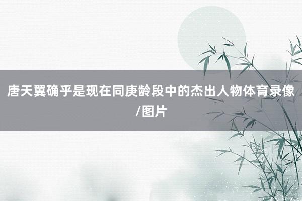 唐天翼确乎是现在同庚龄段中的杰出人物体育录像/图片