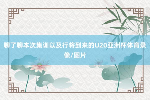 聊了聊本次集训以及行将到来的U20亚洲杯体育录像/图片