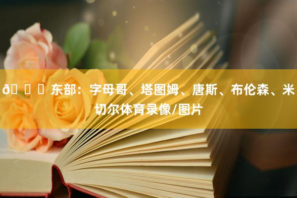 🌟东部：字母哥、塔图姆、唐斯、布伦森、米切尔体育录像/图片