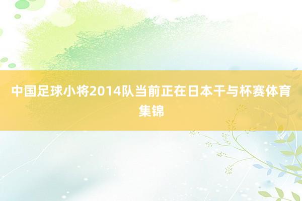 中国足球小将2014队当前正在日本干与杯赛体育集锦