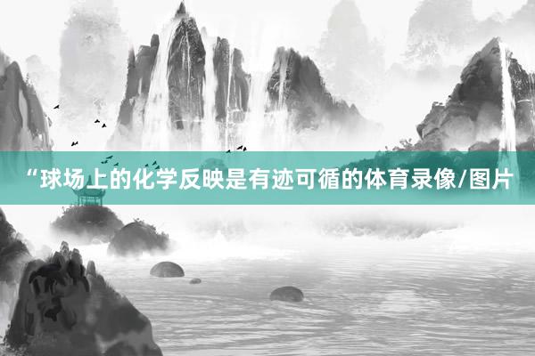 “球场上的化学反映是有迹可循的体育录像/图片