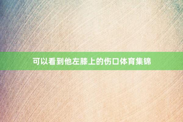 可以看到他左膝上的伤口体育集锦