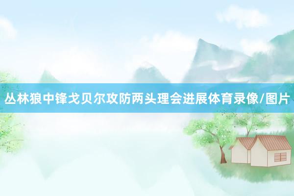 丛林狼中锋戈贝尔攻防两头理会进展体育录像/图片