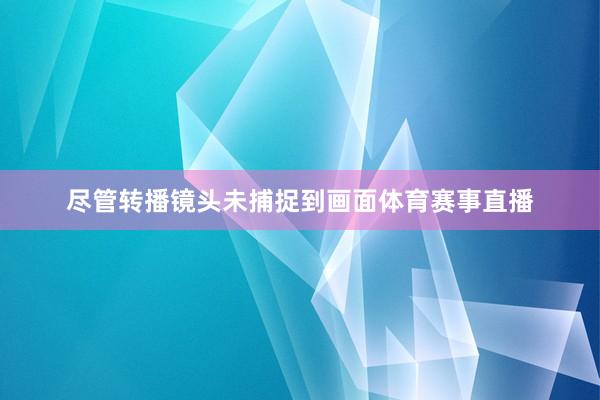 尽管转播镜头未捕捉到画面体育赛事直播