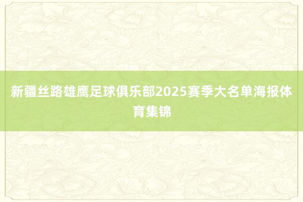 新疆丝路雄鹰足球俱乐部2025赛季大名单海报体育集锦