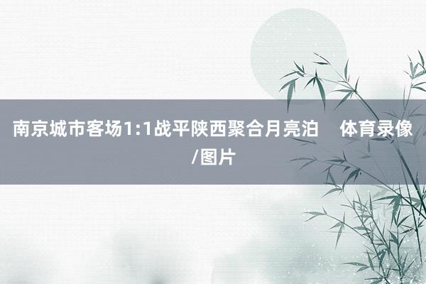 南京城市客场1:1战平陕西聚合月亮泊    体育录像/图片