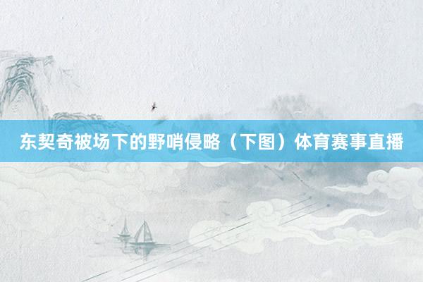 东契奇被场下的野哨侵略（下图）体育赛事直播