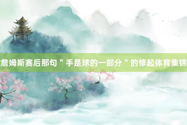 詹姆斯赛后那句＂手是球的一部分＂的修起体育集锦