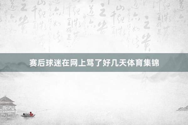 赛后球迷在网上骂了好几天体育集锦