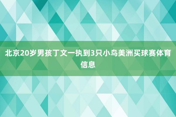北京20岁男孩丁文一执到3只小鸟美洲买球赛体育信息