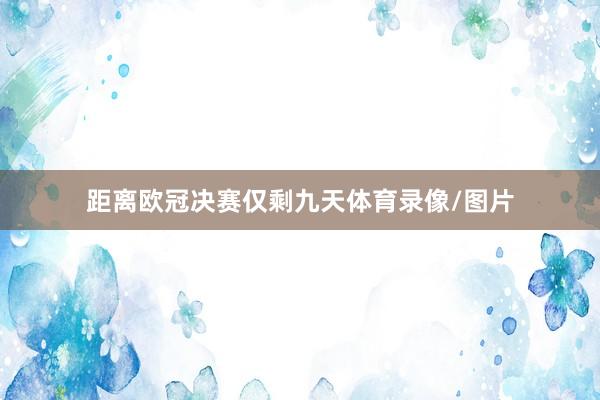 距离欧冠决赛仅剩九天体育录像/图片