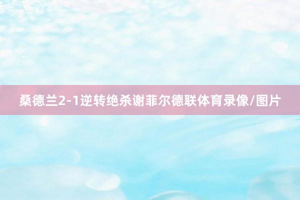 桑德兰2-1逆转绝杀谢菲尔德联体育录像/图片