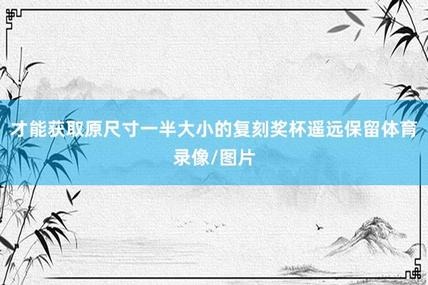 才能获取原尺寸一半大小的复刻奖杯遥远保留体育录像/图片