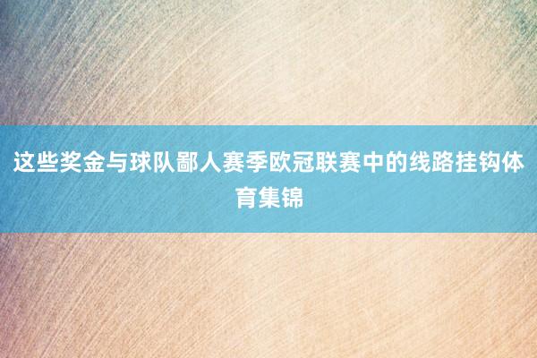 这些奖金与球队鄙人赛季欧冠联赛中的线路挂钩体育集锦