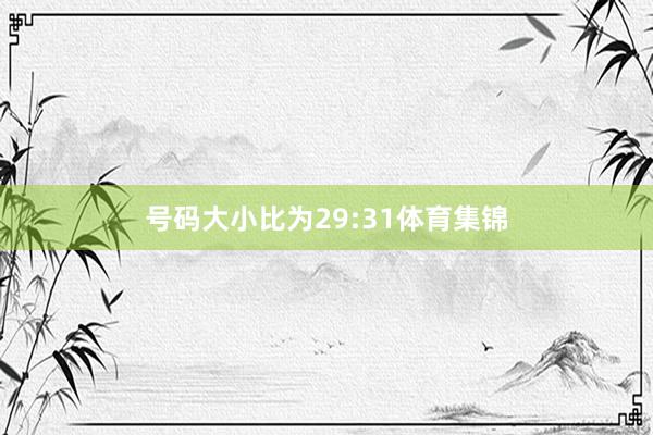 号码大小比为29:31体育集锦
