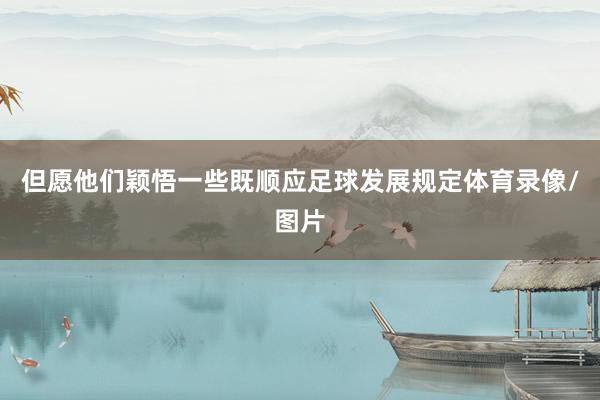 但愿他们颖悟一些既顺应足球发展规定体育录像/图片