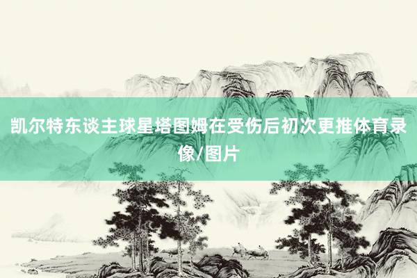 凯尔特东谈主球星塔图姆在受伤后初次更推体育录像/图片