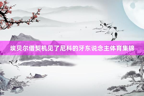 埃贝尔借契机见了尼科的牙东说念主体育集锦