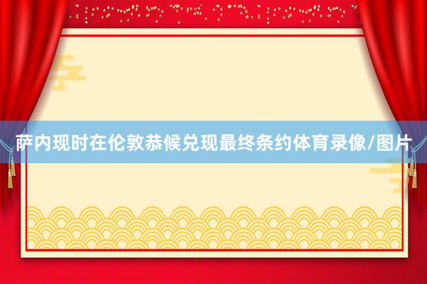 萨内现时在伦敦恭候兑现最终条约体育录像/图片