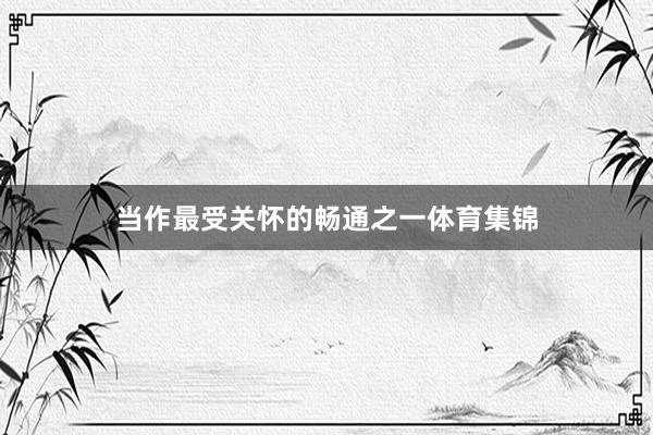 当作最受关怀的畅通之一体育集锦
