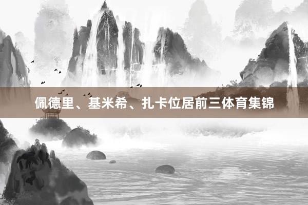 佩德里、基米希、扎卡位居前三体育集锦