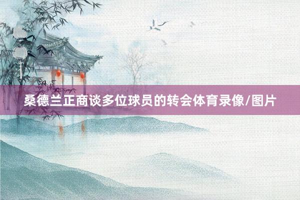 桑德兰正商谈多位球员的转会体育录像/图片