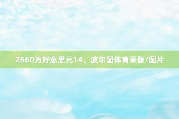 2660万好意思元14、波尔图体育录像/图片