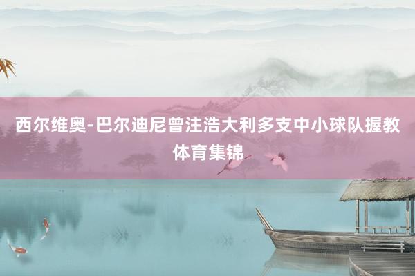 西尔维奥-巴尔迪尼曾注浩大利多支中小球队握教体育集锦