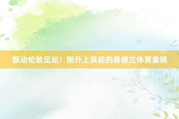 颤动伦敦足坛！刚升上英超的桑德兰体育集锦