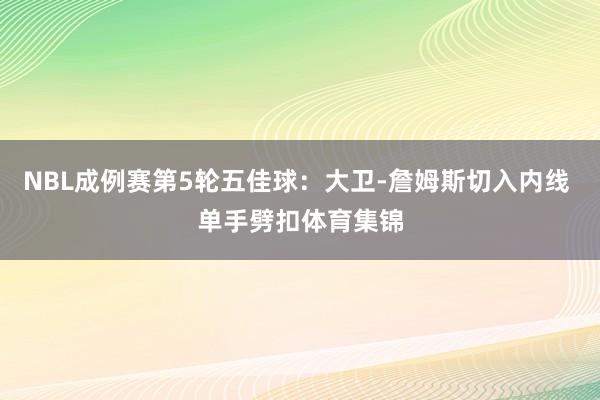 NBL成例赛第5轮五佳球：大卫-詹姆斯切入内线 单手劈扣体育集锦