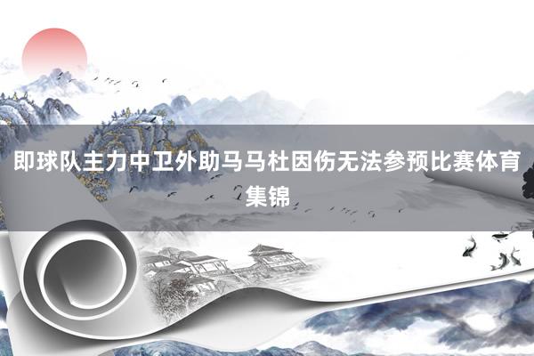 即球队主力中卫外助马马杜因伤无法参预比赛体育集锦