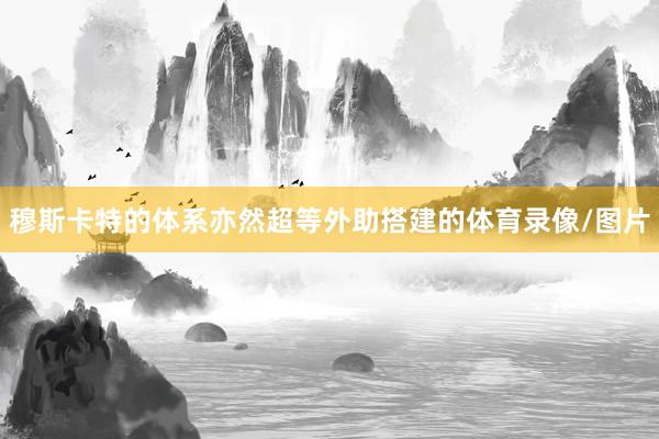 穆斯卡特的体系亦然超等外助搭建的体育录像/图片