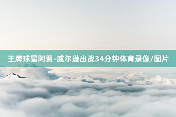 王牌球星阿贾-威尔逊出战34分钟体育录像/图片