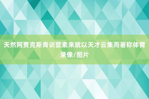 天然阿贾克斯青训营素来就以天才云集而著称体育录像/图片
