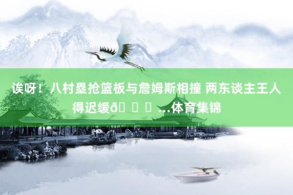 诶呀！八村塁抢篮板与詹姆斯相撞 两东谈主王人得迟缓😂...体育集锦