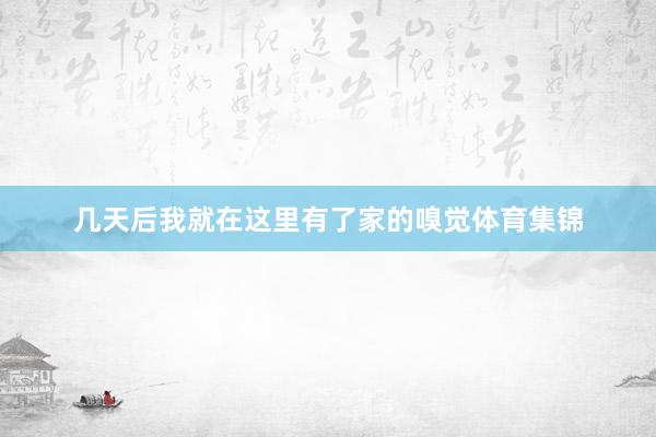 几天后我就在这里有了家的嗅觉体育集锦