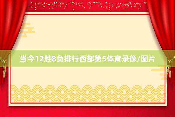 当今12胜8负排行西部第5体育录像/图片