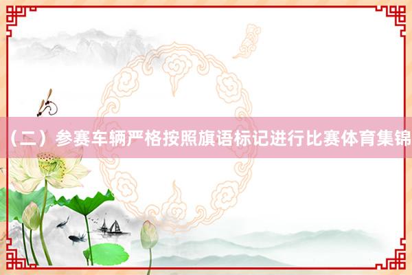（二）参赛车辆严格按照旗语标记进行比赛体育集锦