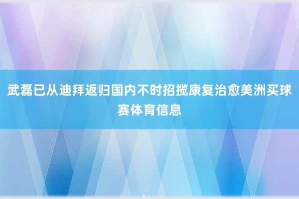 武磊已从迪拜返归国内不时招揽康复治愈美洲买球赛体育信息