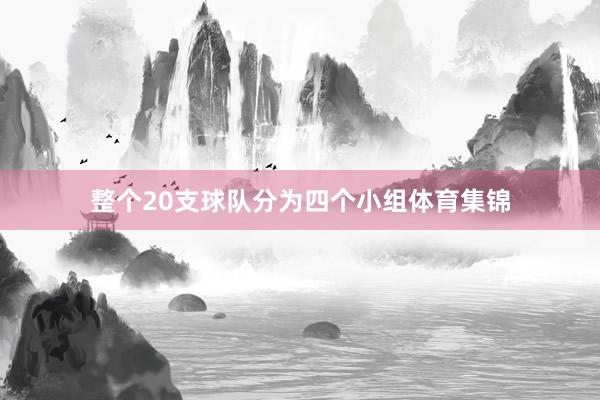 整个20支球队分为四个小组体育集锦