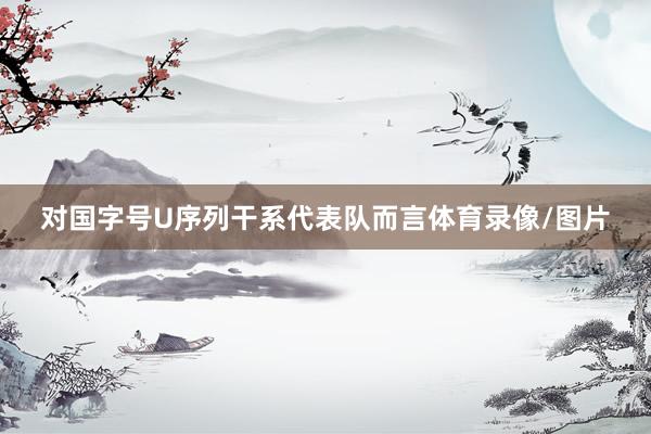 对国字号U序列干系代表队而言体育录像/图片